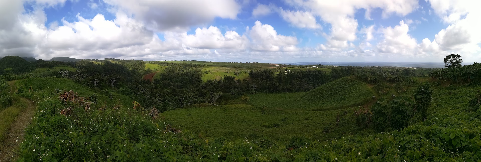 Environnement et Pollution d'origine agricole